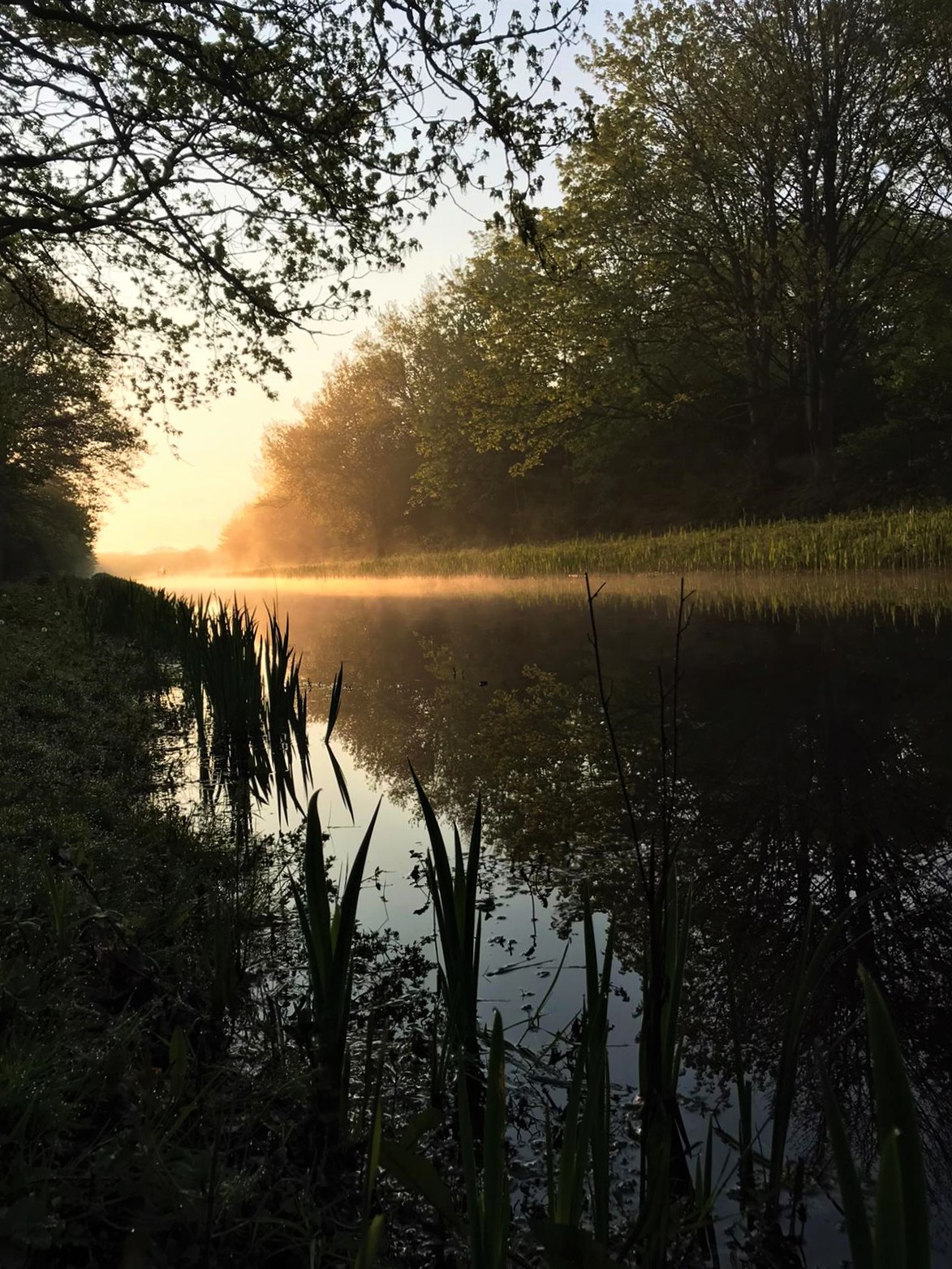 Foto door Jan v Eijzeren