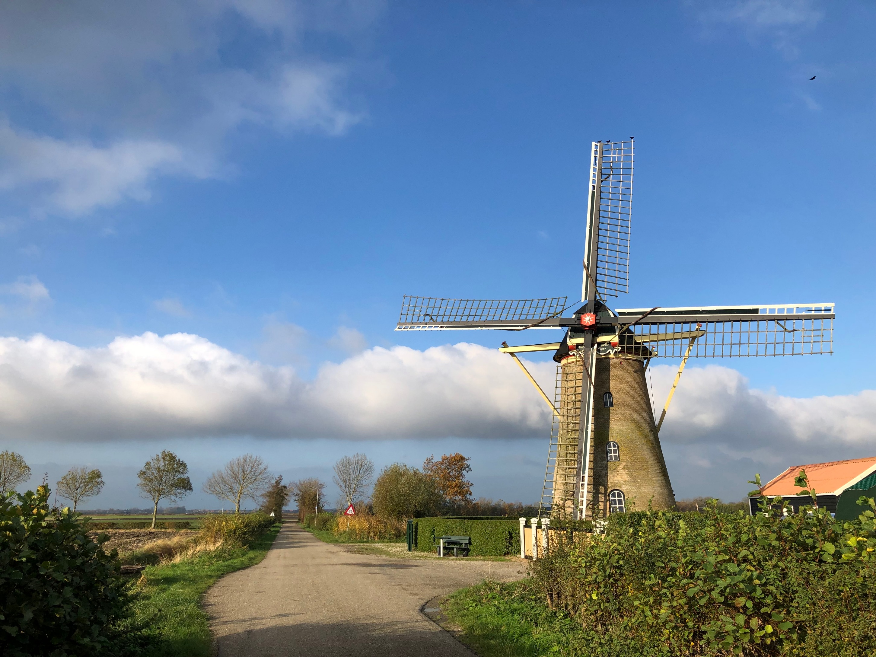 Molen Lia