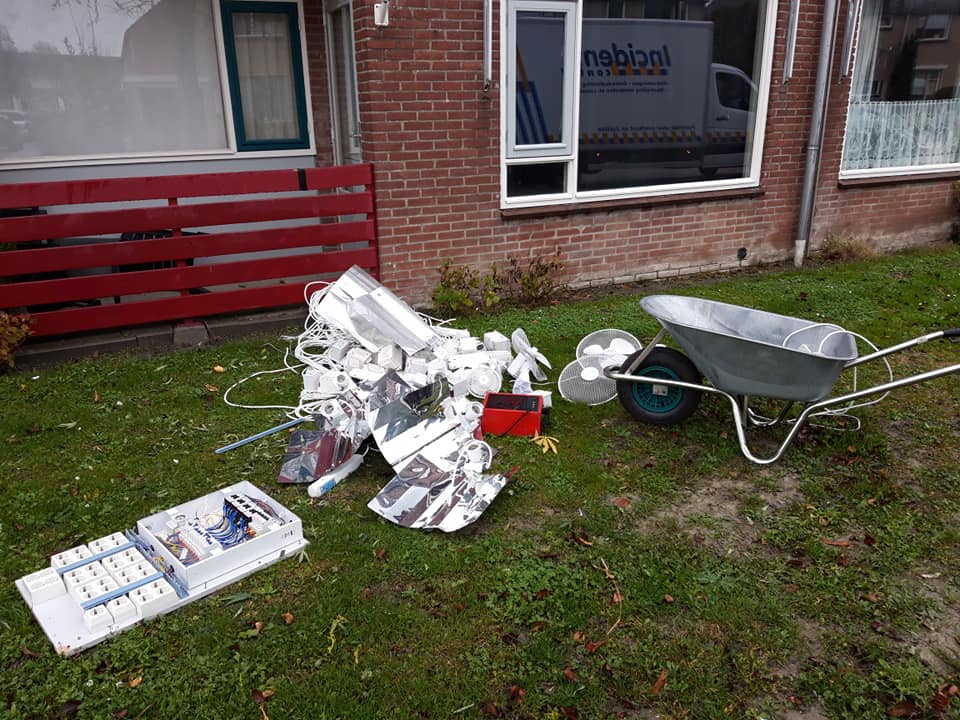 Wietblad 2
