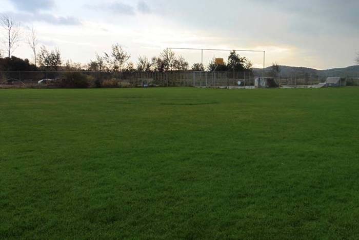 sportkooi